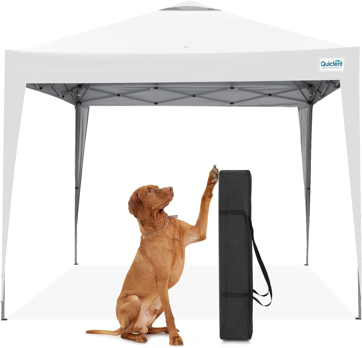 Quictent 10×10 Pop Up Canopy Tent Without Sidewall | Instant Setup Gazebo for 1 Person, Portable & Compact, Waterproof, Ideal for Camping, Beach, Parties, and Outdoor Events