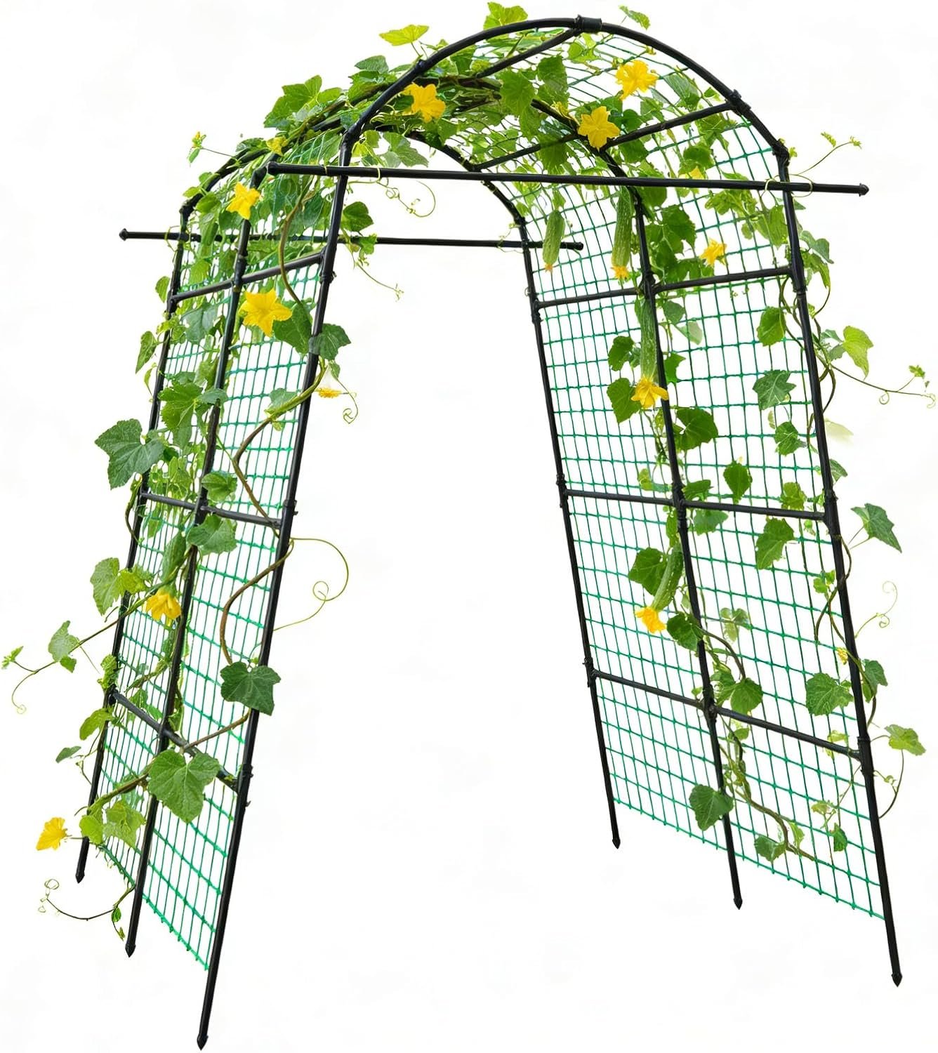 AGTEK 87″ Metal Garden Arch Trellis, for Climbing Vines, Veggies, Fruits, Flowers