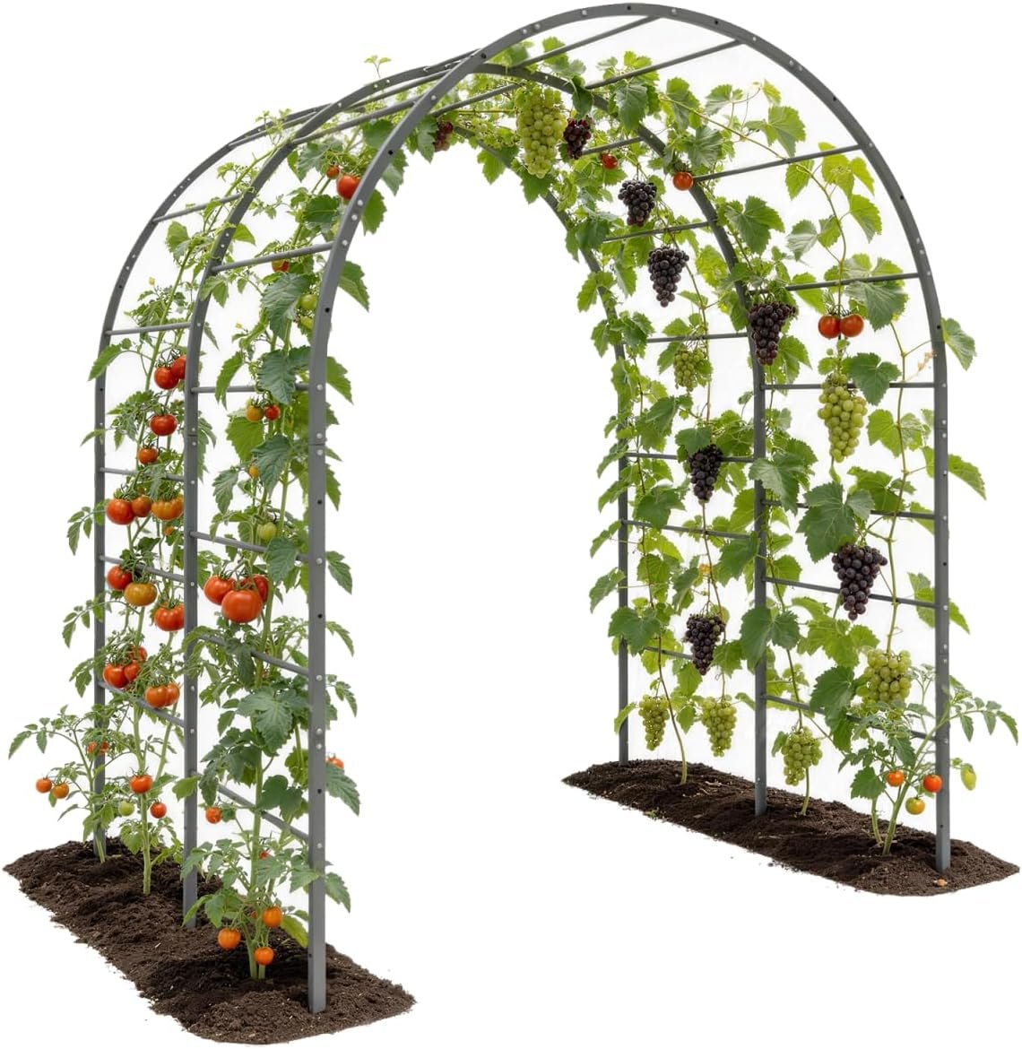 A ANLEOLIFE Garden Arch Trellis for Raised Garden Beds, Heavy-Duty Metal Archway, Bed-Mount or In-Ground Install, Deep-Insert Stability for Cucumbers, Beans, Gourds & Squash, Quartz Gray