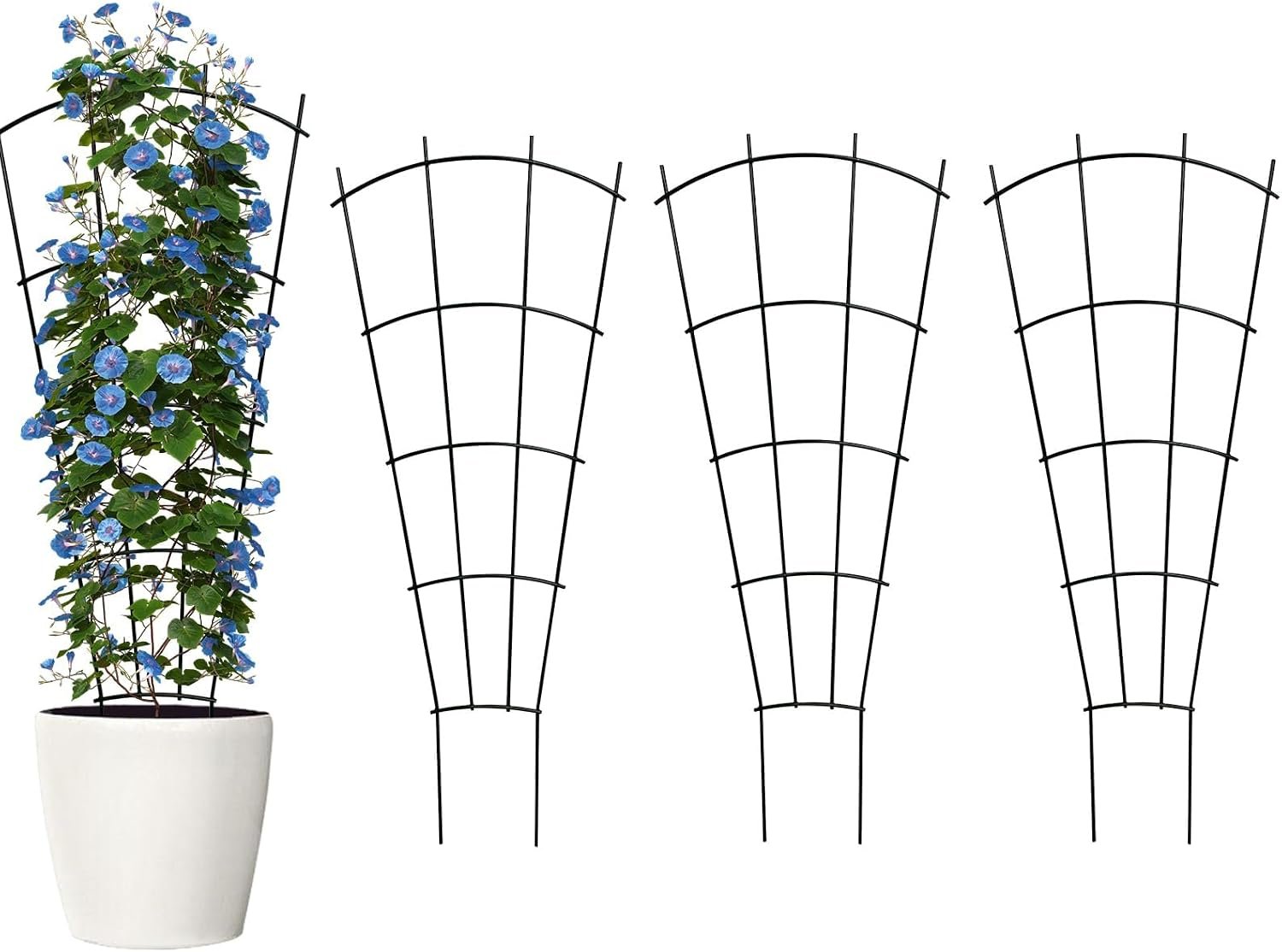 Thealyn 43″ Tall Metal Plant Trellis, Climbing Plant Support, 4 Pack, Black | Rust-resistant coating | Sturdy metal frame | Gardens, patios & planters | Roses, clematis, jasmine & vines