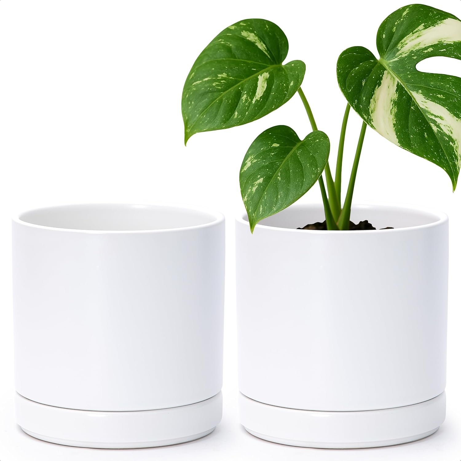 D’vine Dev Set of 2 Plants Pots, 6.5 Inch Ceramic Planter Pot for Plants with Drainage Hole and Saucer, White, 94-V-C-1