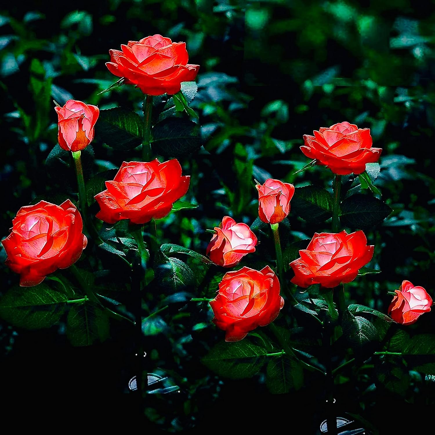 Solar Realistic LED Solar Powered Rose Lights Flower Stake,Solar Garden Lights Outdoor 2 Pack with 10 Roses,Waterproof Solar Decorative Lights for Patio Pathway Courtyard Garden Lawn (Red)