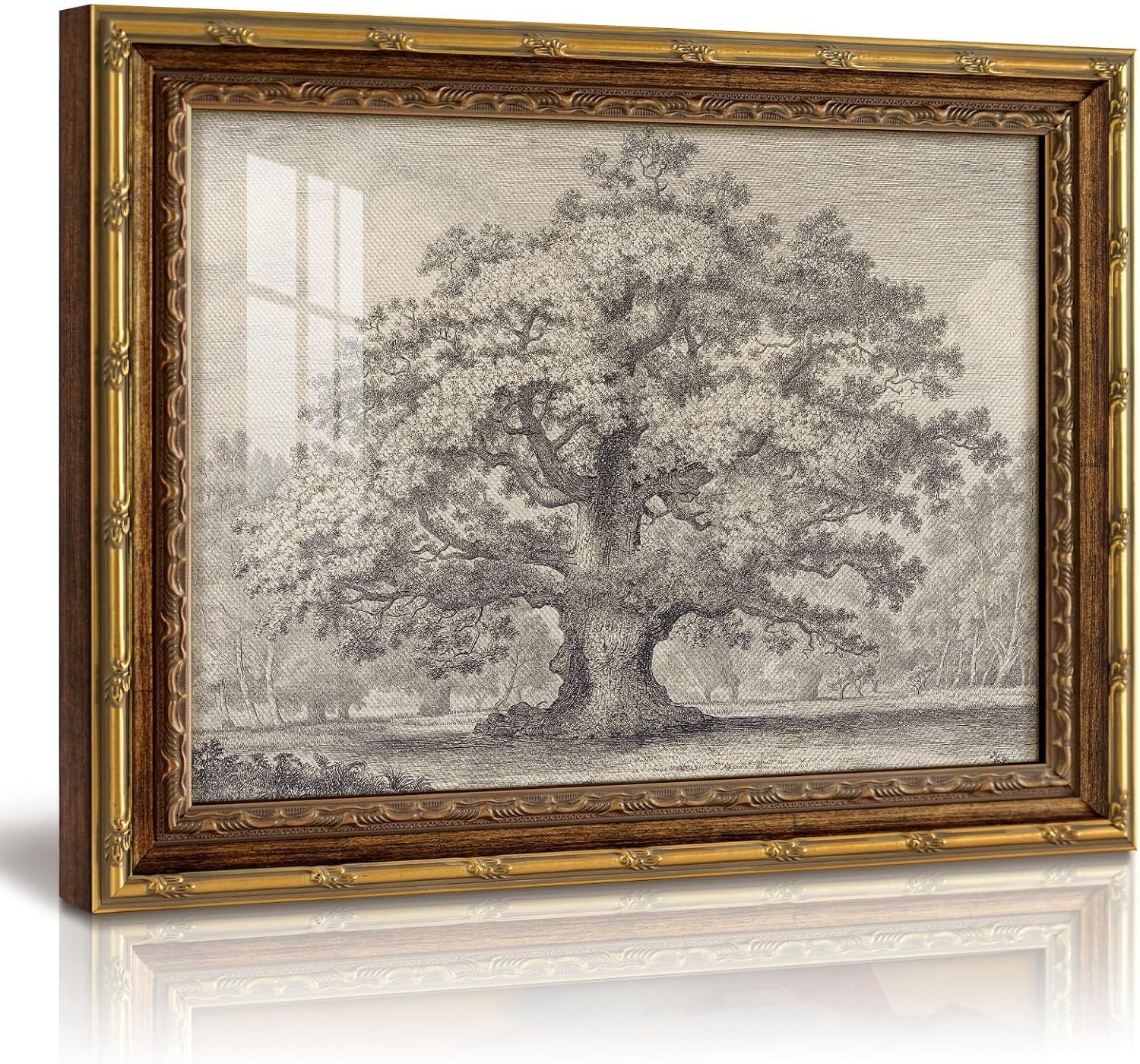 InSimSea 13×16 Gold Framed Vintage Wall Art with Glass, Sketch Oak Tree Landscape Canvas Prints, Rustic Farmhouse Botanical Artwork for Living Room Bedroom Bathroom Office