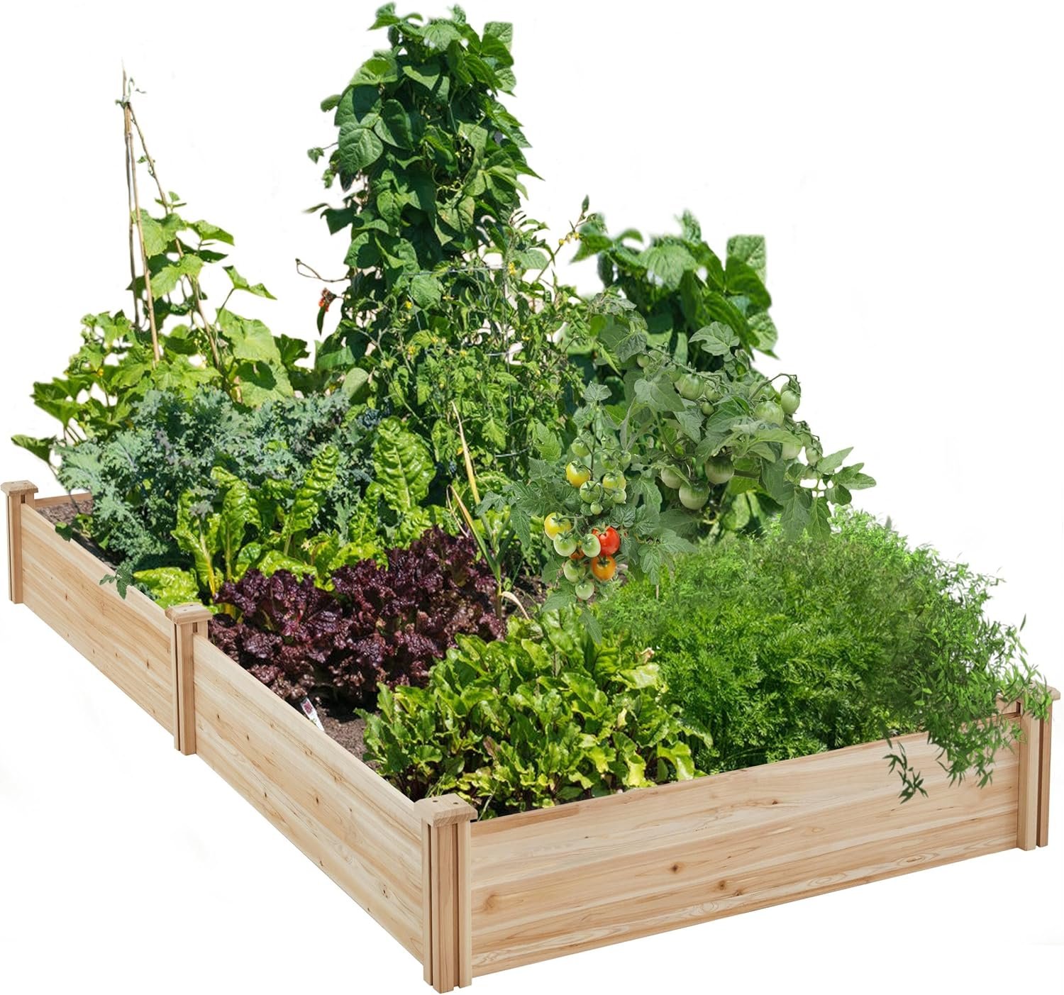 Yaheetech 8×4ft Wooden Horticulture Raised Garden Bed Divisible Elevated Planting Planter Box for Flowers/Vegetables/Herbs in Backyard/Patio Outdoor, Natural Wood, 93 x 48 x 10in | Made of fir wood, this raised planter provides simple setup, divided growing areas, and outdoor space for vegetables, herbs.