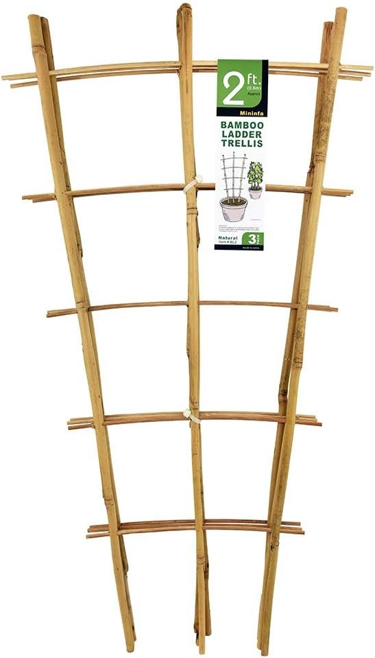 Natural Bamboo Trellis 24 Inches Tall, Mininfa Garden Ladder Trellis, Plant for Climbing Plants, Vegetables, Pots – 3 Pack