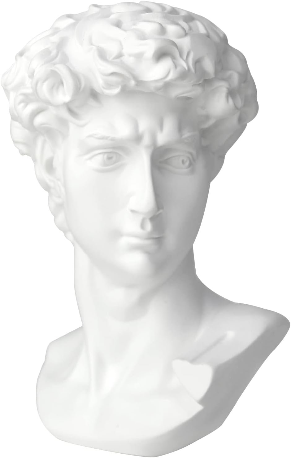 Norrclp 11in Greek Statue of David, Classic Roman Head Bust | Greek Mythology Sculpture for Home Decor Office Bookshelf Desktop Decor