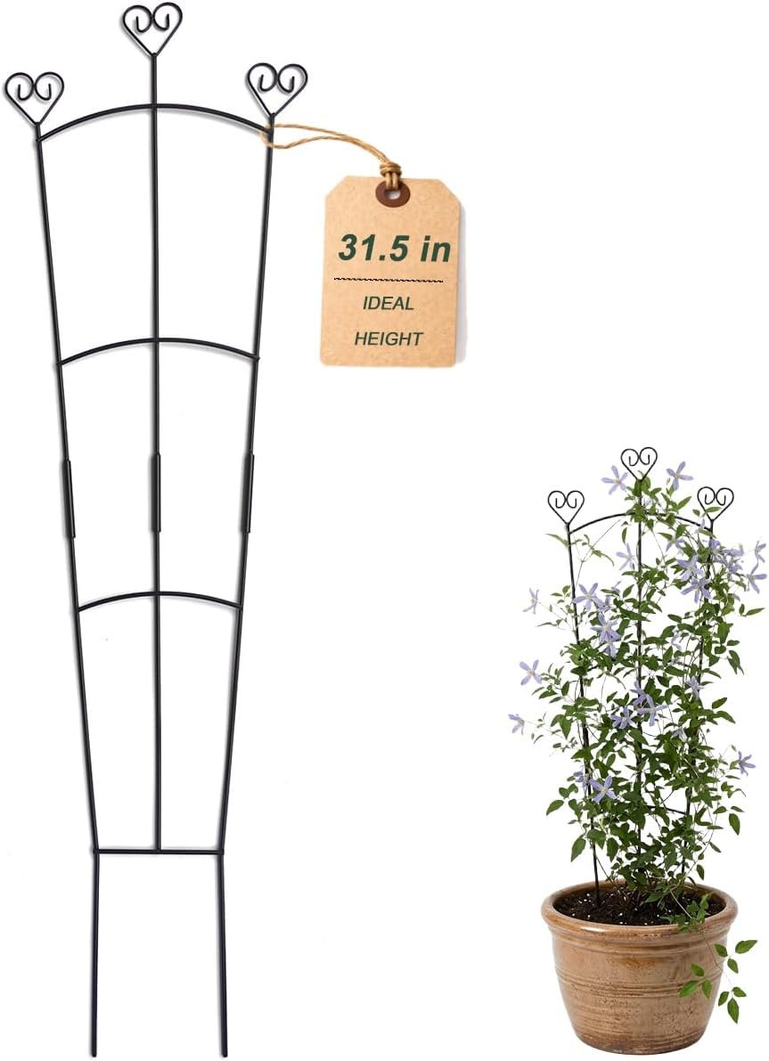 31.5 Inch Trellis for Potted Plants, Metal Plant Trellis for Climbing Plants, Plant Support for Ivy, Monstera, Hoya, Indoor & Outdoor Houseplant Trellis, Black, 1 Pack