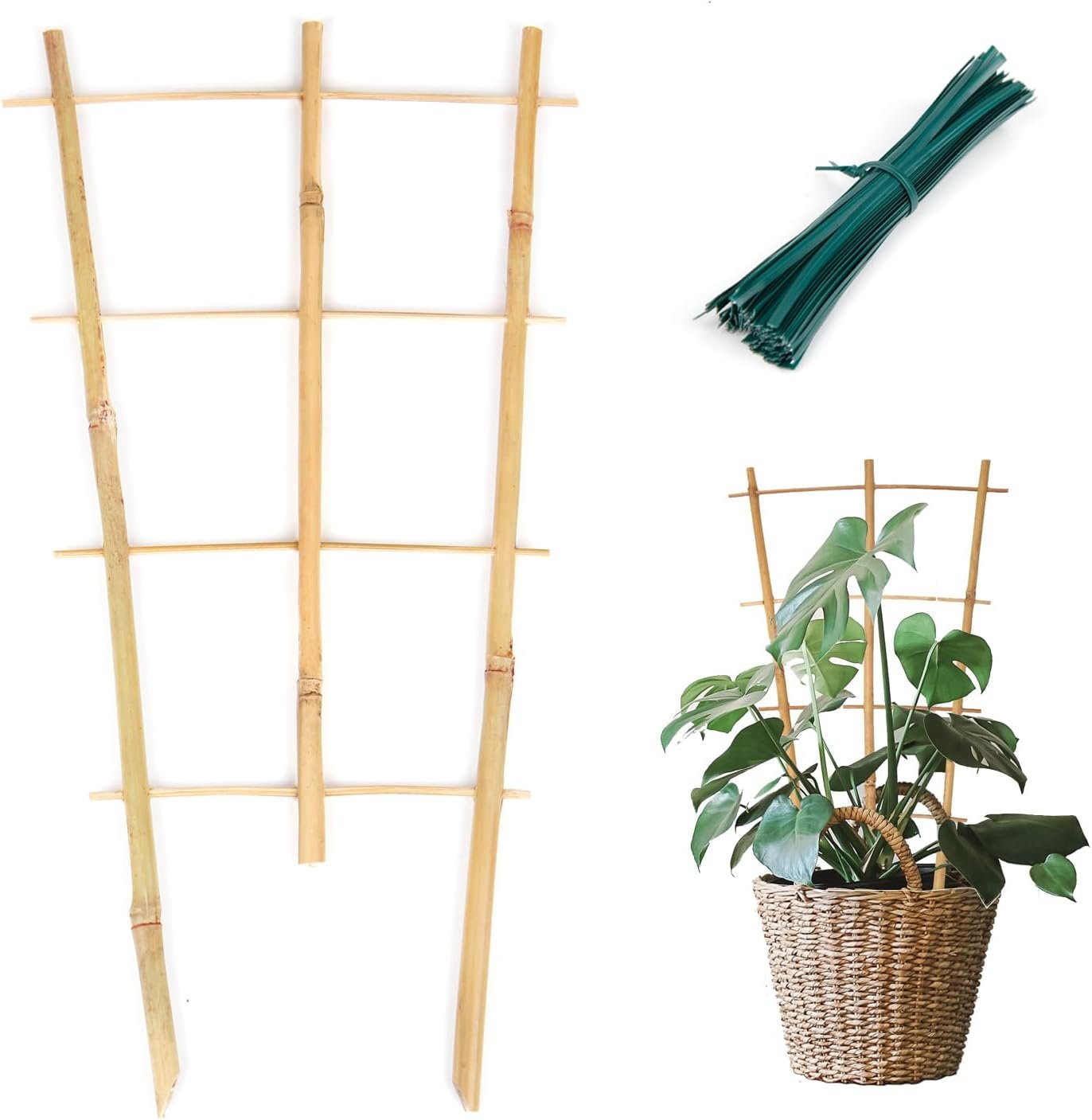 Cambaverd Plant Trellis Indoor, 3 Pack Bamboo Trellises, 16in Fan-Shaped Trellis for Potted Plants Climbing Plants Hoya Vine Ivy