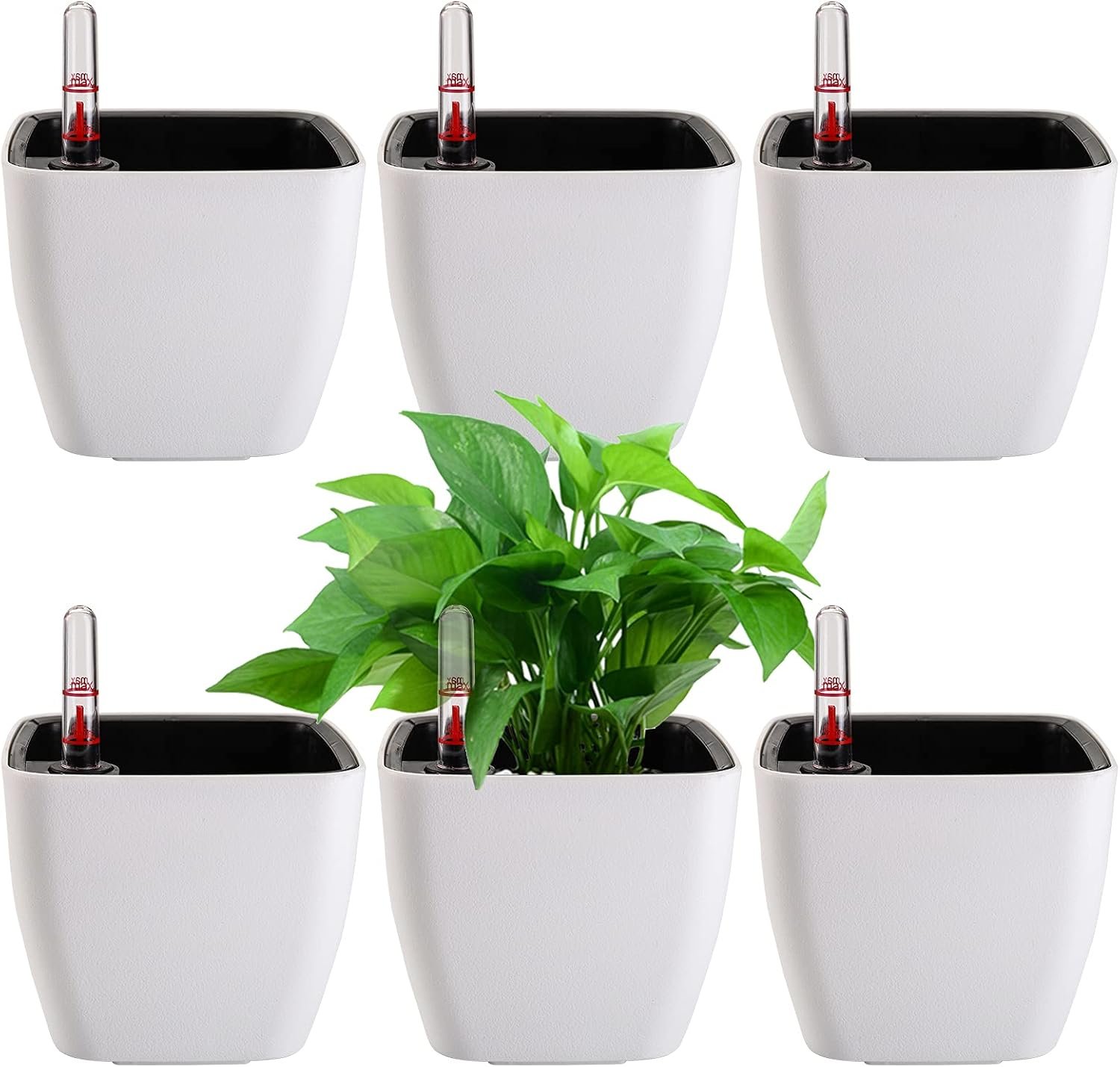 6 Pack Self Watering Planter with Water Level Indicator, 5 Inch Plastic Plant Flower Pots Nested Container for Indoor Plants, Herbs, Aloe, Outdoor Gardening