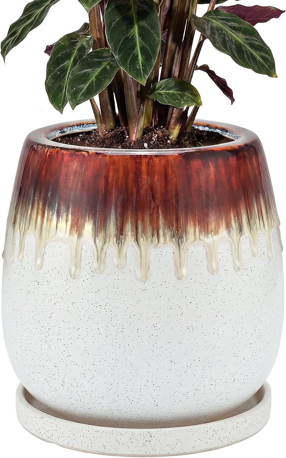 10.3 Inch Ceramic Glaze Plant Pot with Saucer, Flower Pots with Drainage Hole Mesh Net (Hemp-White)