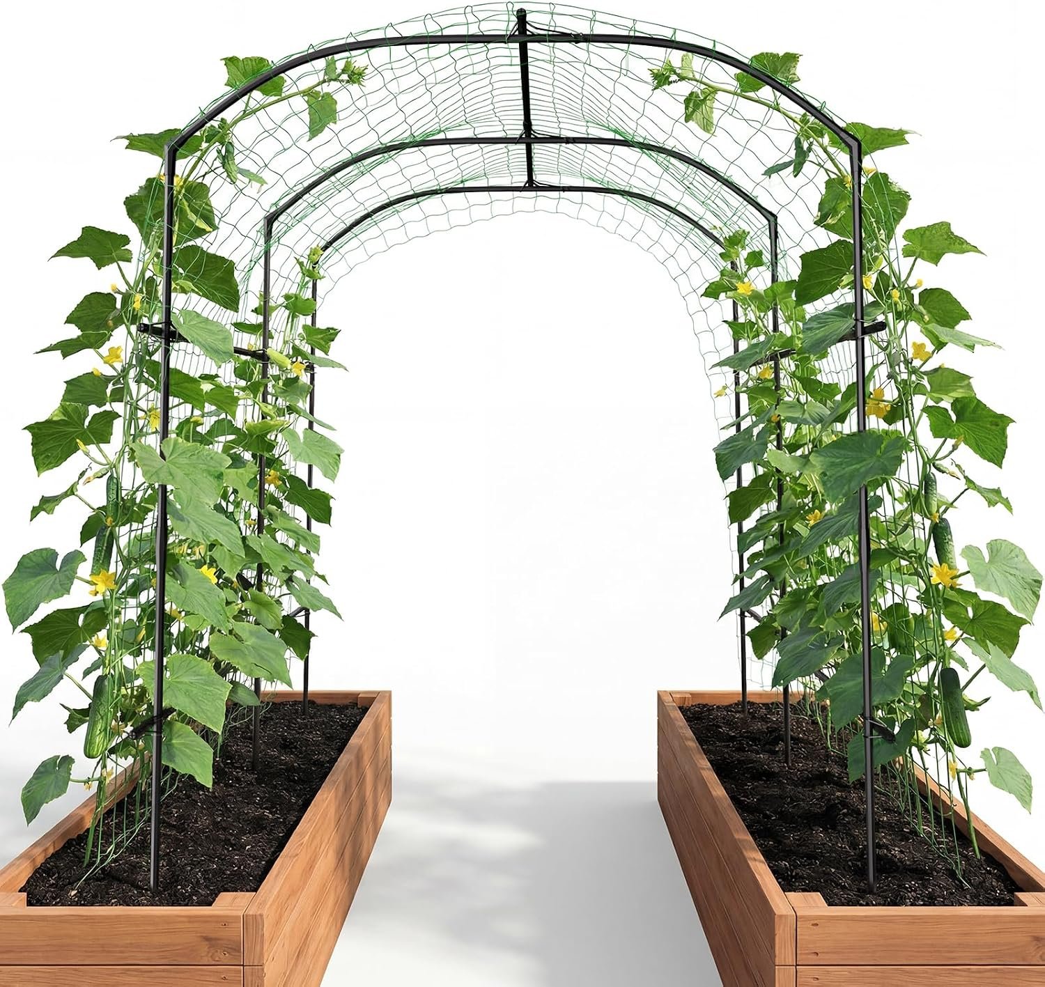 Garden Arch Trellis, 87”H x 75”L Metal Trellis for Climbing Plants | Large Plant Support Trellis Archway for Climbing Vine Vegetable/Fruit/Flower Outdoor Yard Lawn Garden Arch Tunnel Trellis