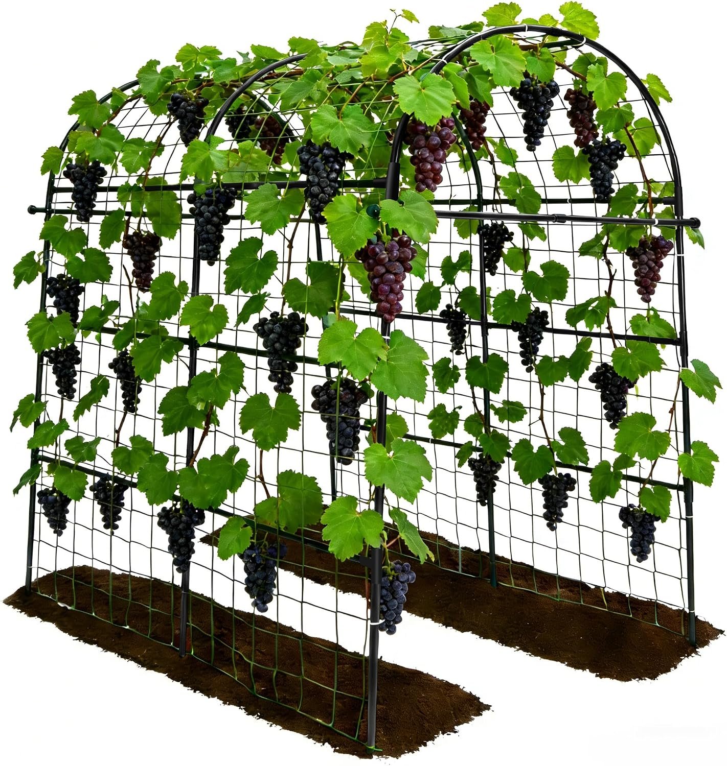 Garden Arch Trellis for Climbing Plants Outdoor – 83″ H*71″ W*43″ L Large Rustproof Garden Trellis, Heavy Duty Grape Trellis, Tunnel Trellis for Melons, Pumpkins, Cucumbers, Peas(Black)